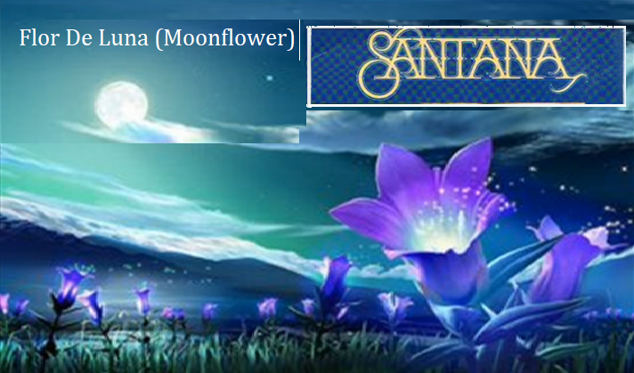 Flor De Luna (Moonflower)