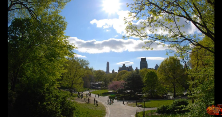 Шикарное танго